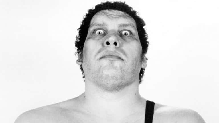 Andre the Giant Facts