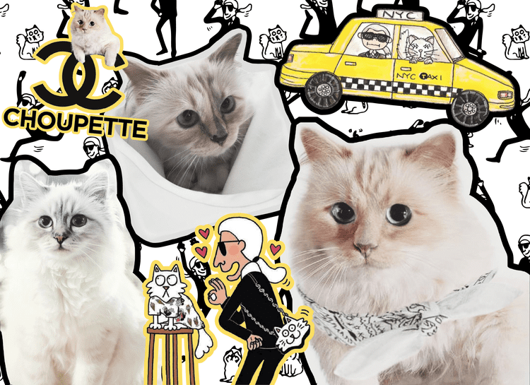 Karl Lagerfeld Facts