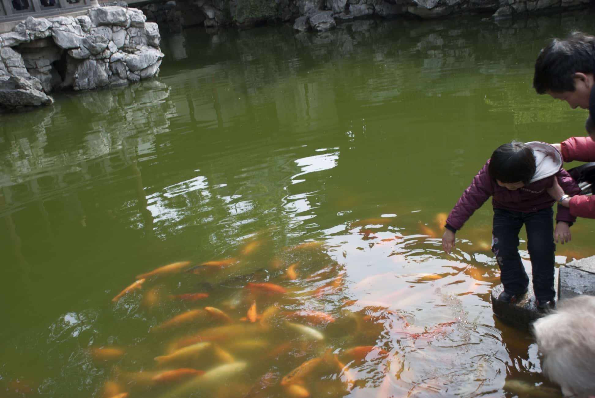 Most Deeply Terrifying Experience Facts