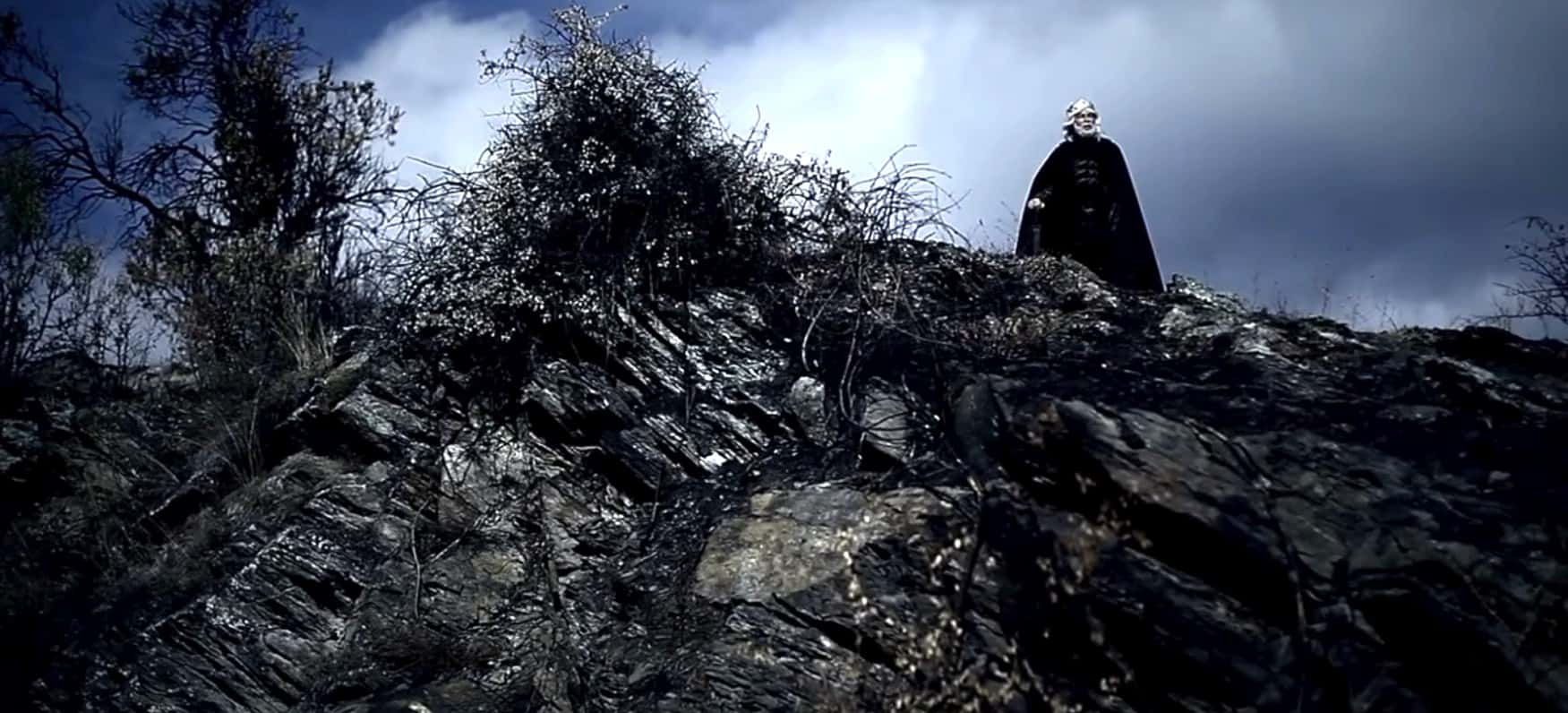  Richard the Lionheart facts 