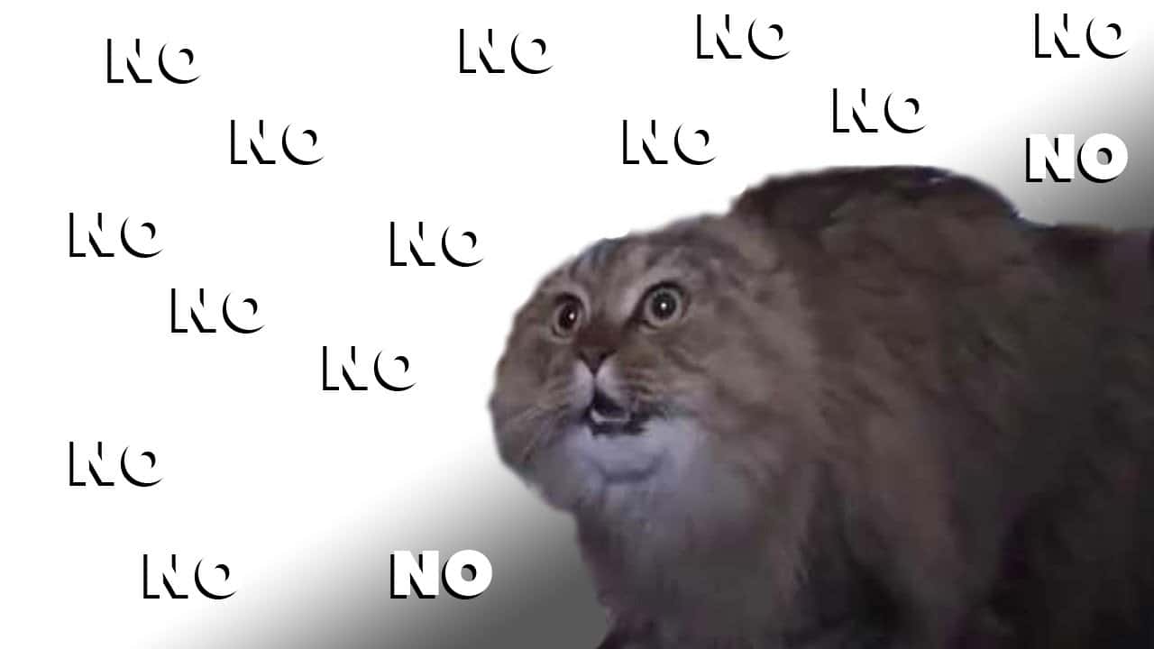 Landlord Complete Jerk facts