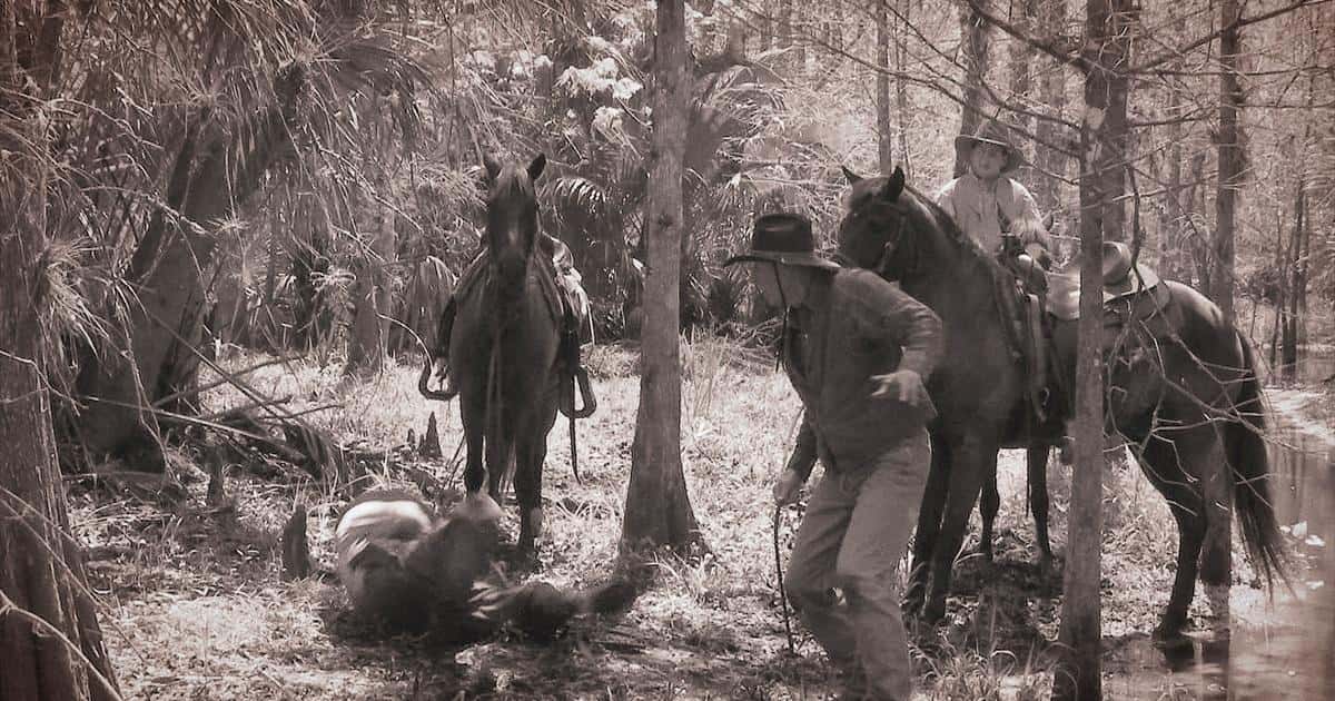 Brutal Family Feuds Facts