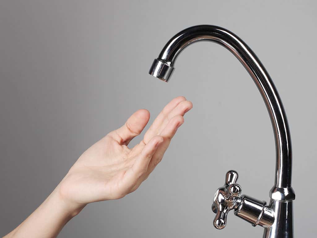 Landlord Complete Jerk facts