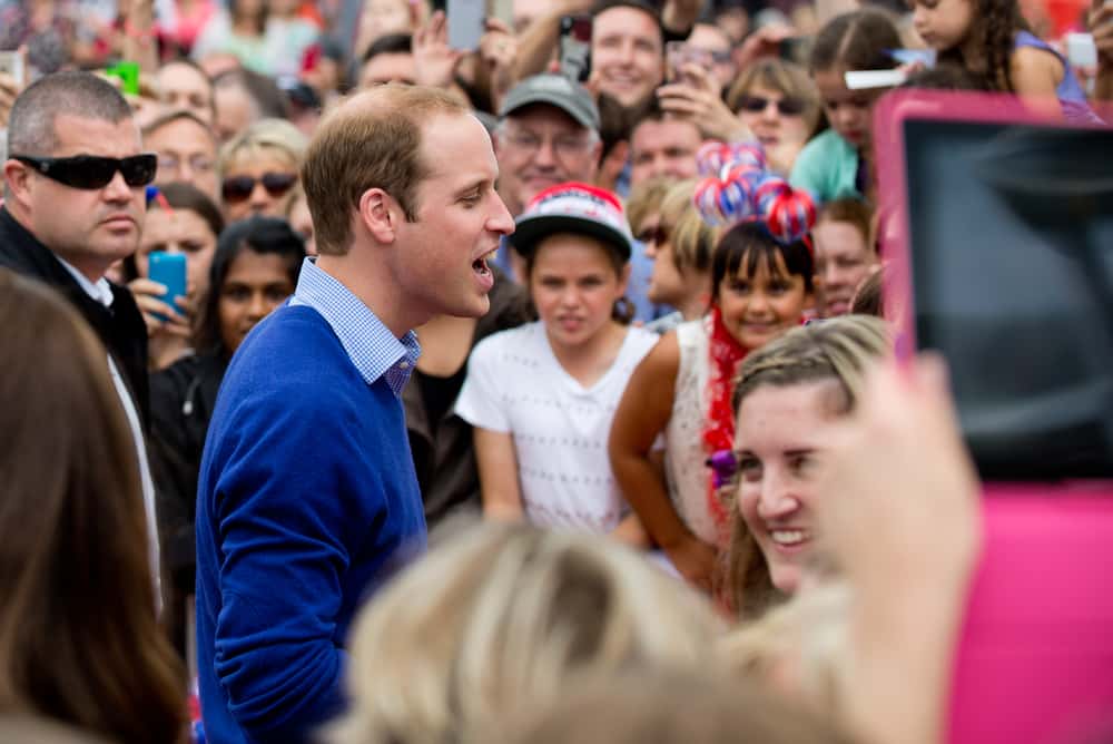 Prince William facts