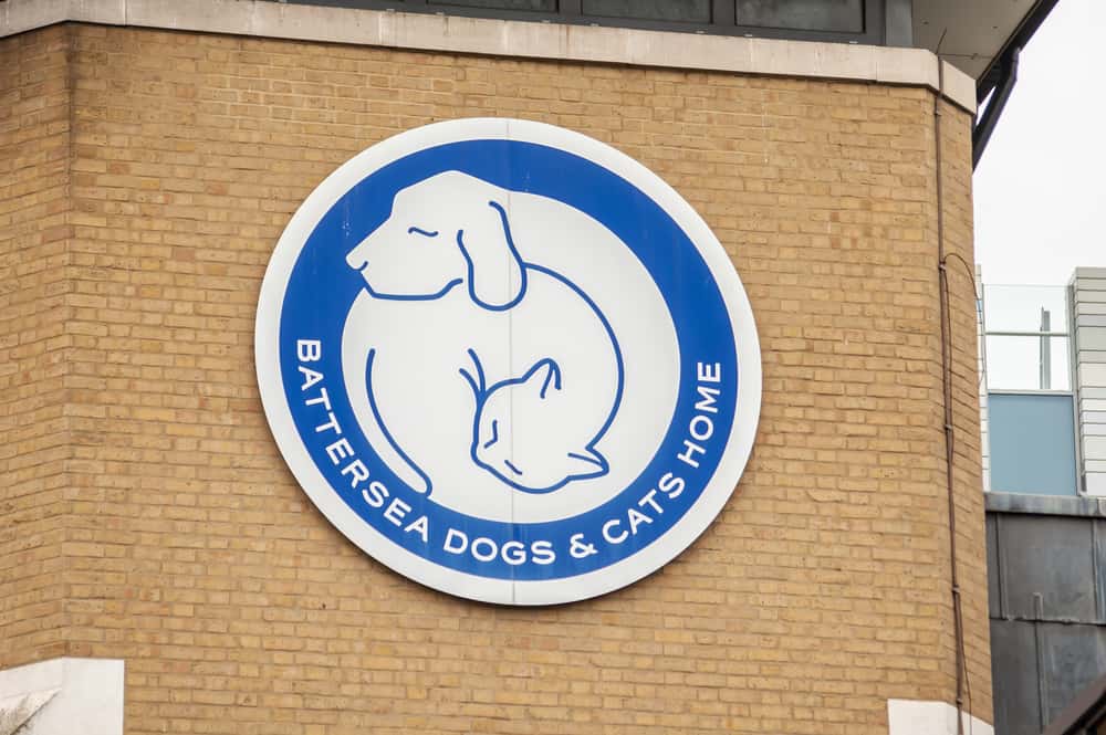 Alexander McQueen Facts