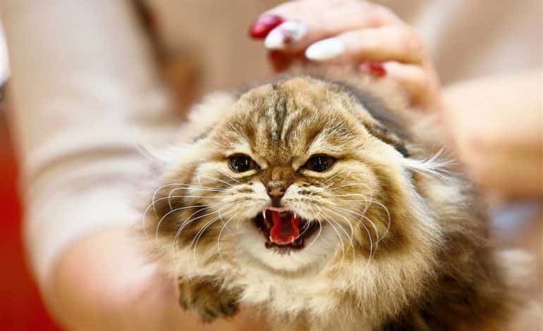 Worst Roommate Stories Facts