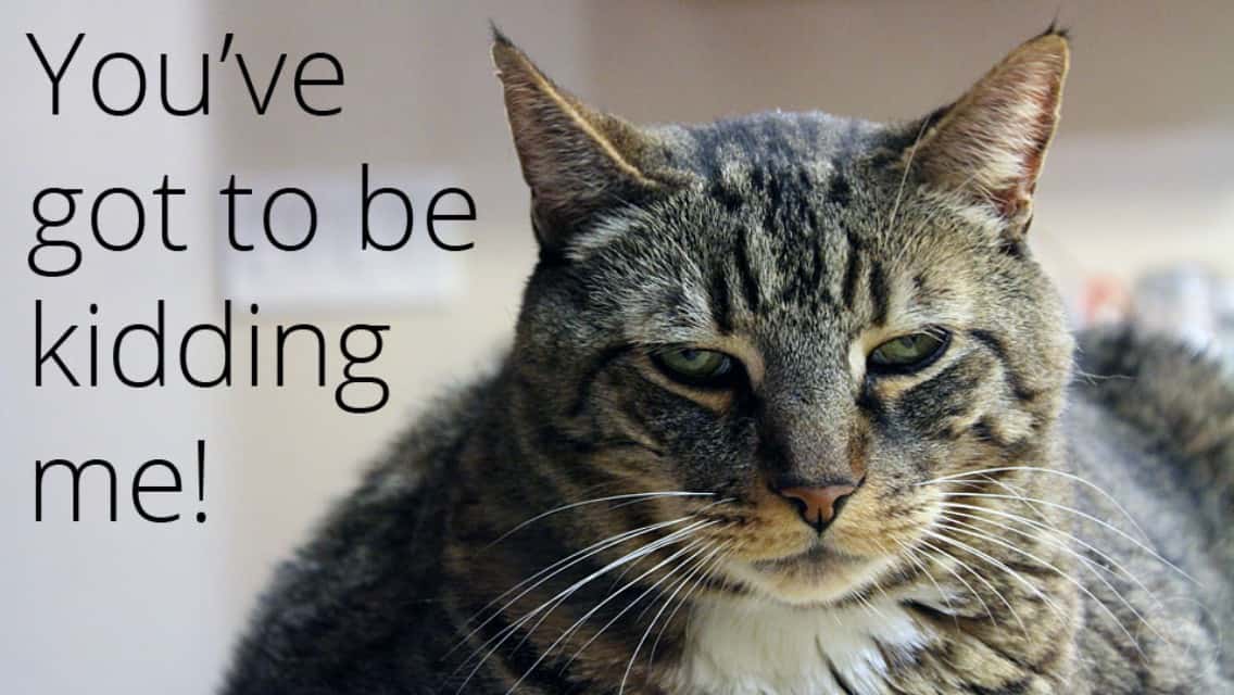 Landlord Complete Jerk facts