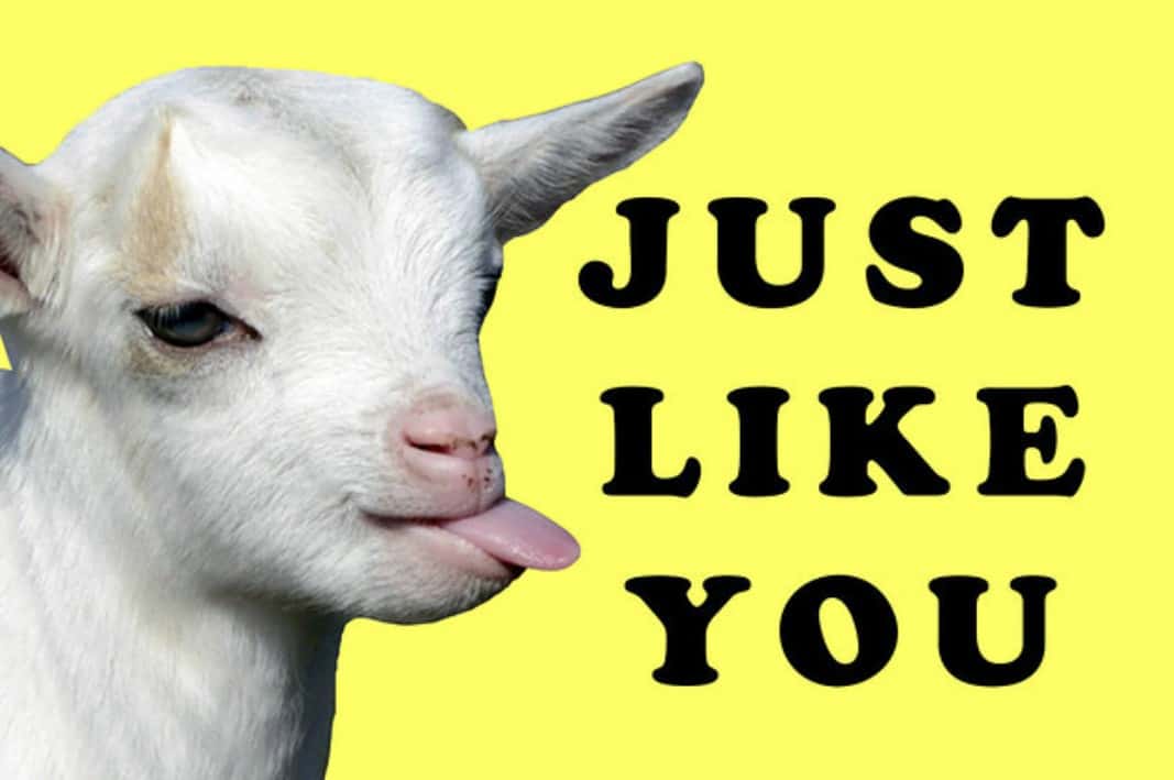 Wu Zetian, The Only Empress of China Facts