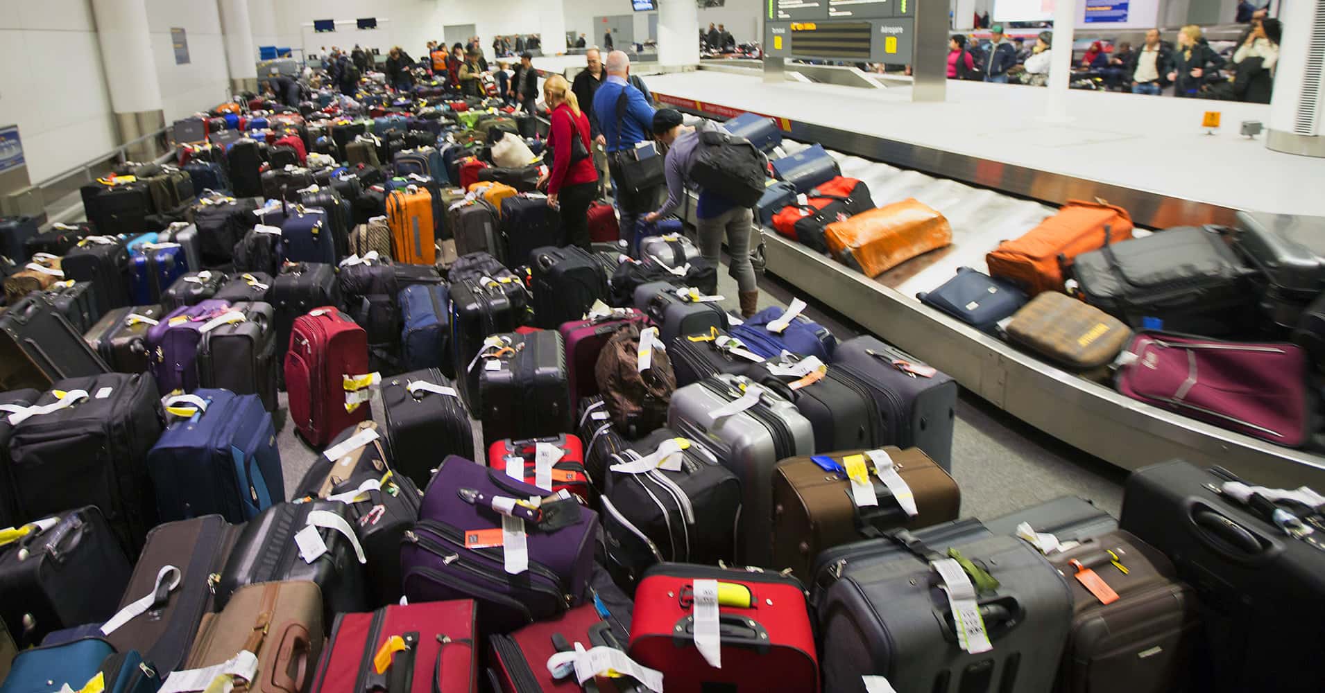 Airline Secrets facts