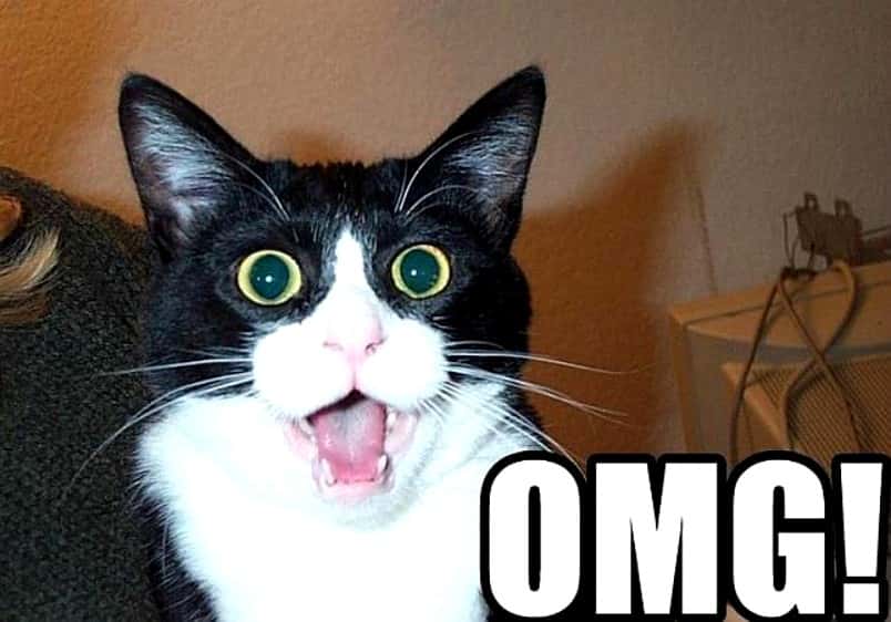 Craigslist Horror Stories facts 