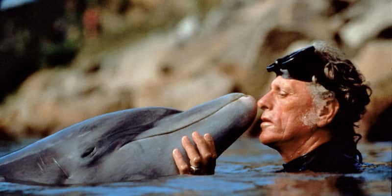 Facts That Will Ruin You Childhood