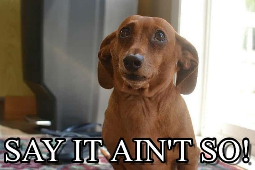 Neighbor From Hell facts