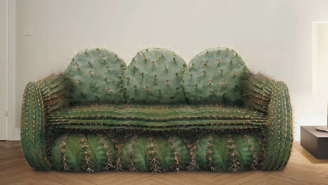 Ridiculous Patients facts