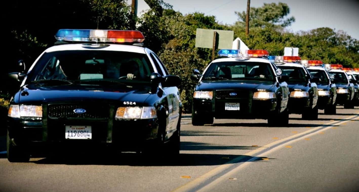 Craigslist Horror Stories facts