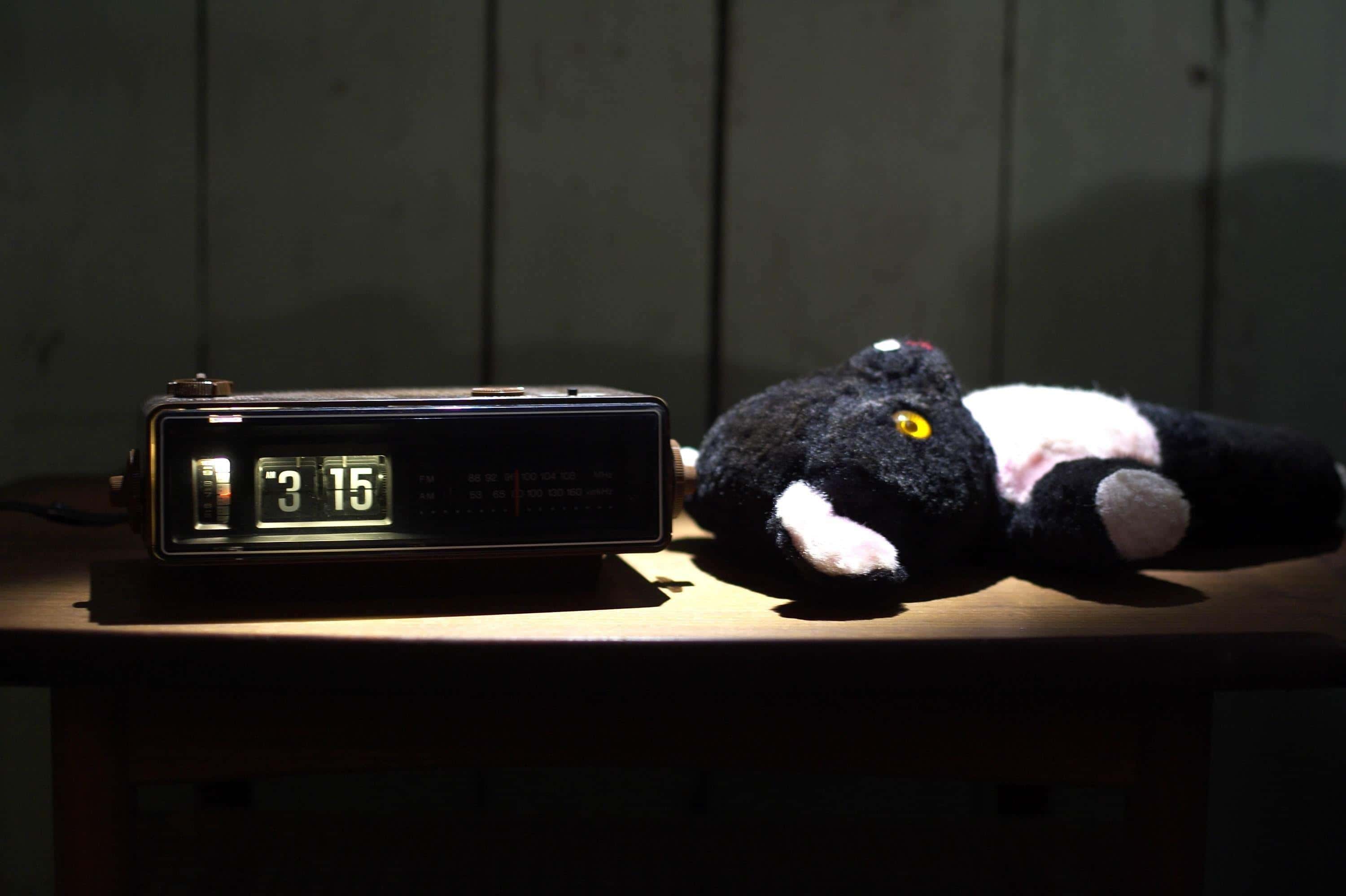 The Amityville Horror facts 