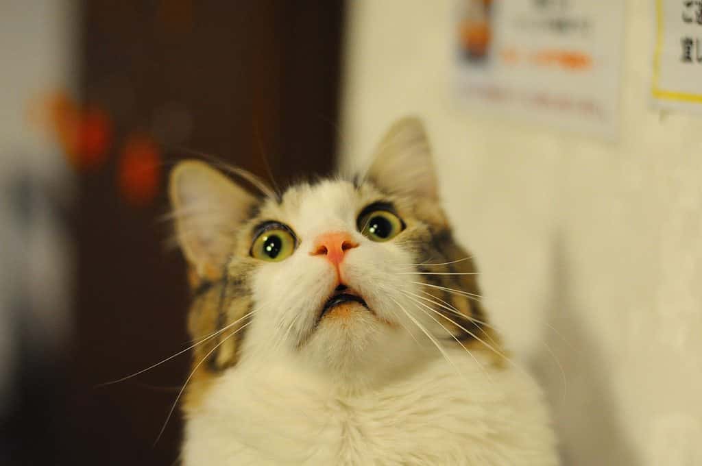 Places That Shouldn’t Exist Facts