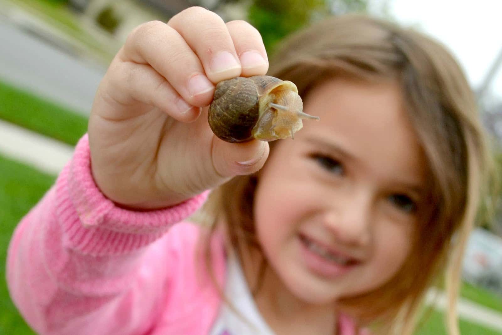 Neighbor From Hell facts