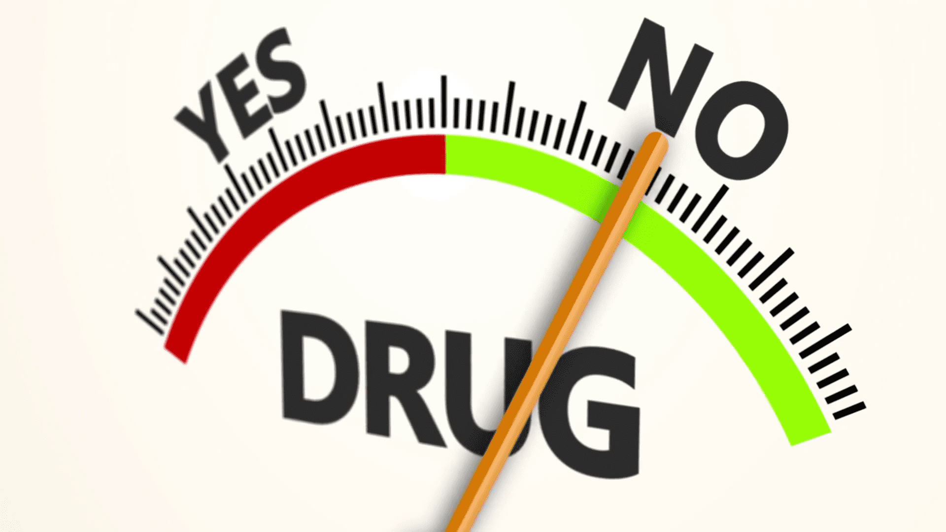 Adult Patients Believed This facts