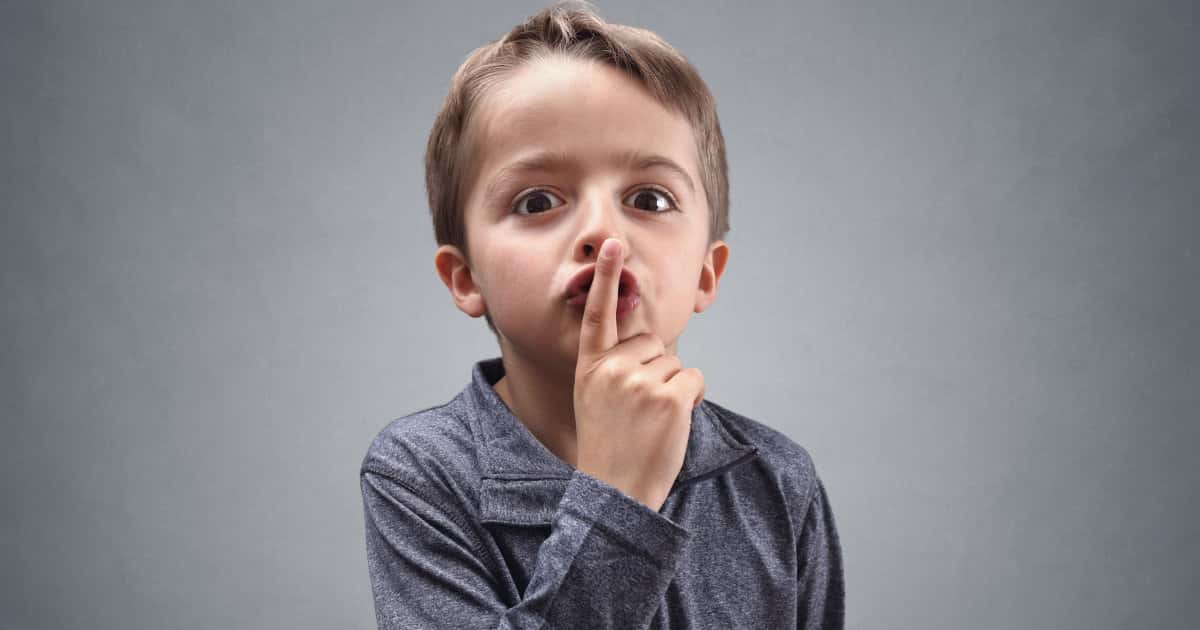 Things in Bodies facts