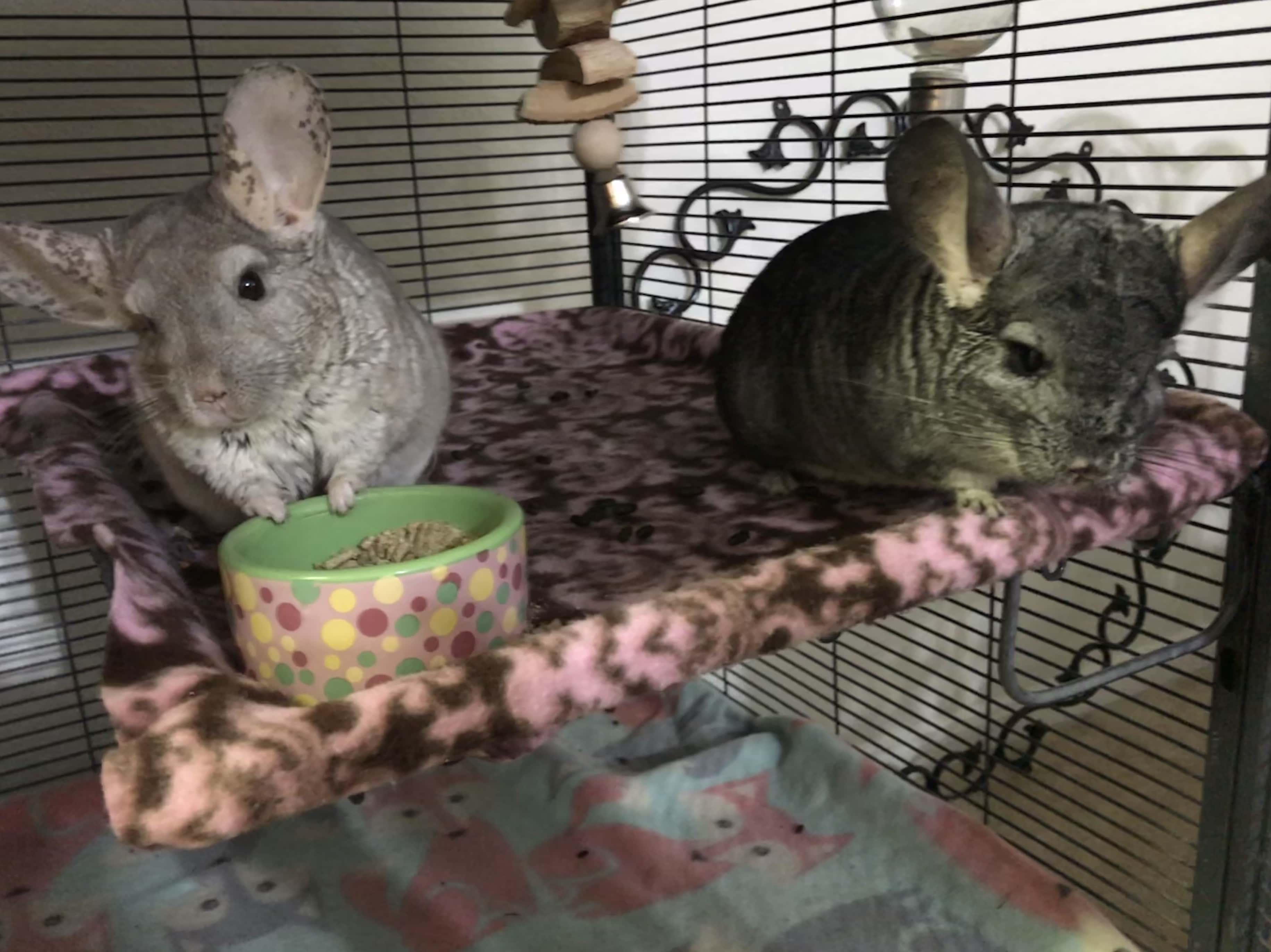 Craigslist Horror Stories facts 