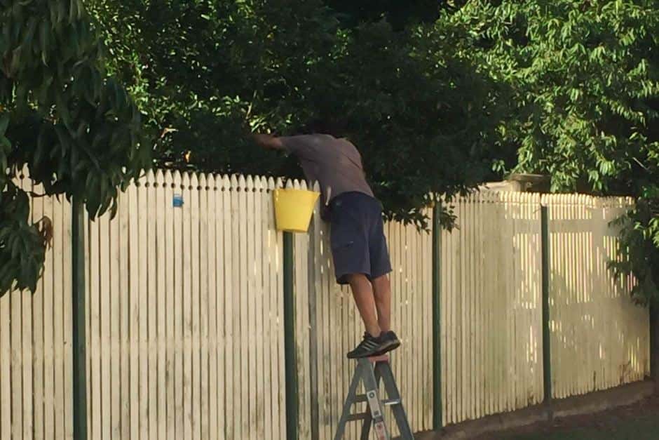 Neighbor From Hell facts