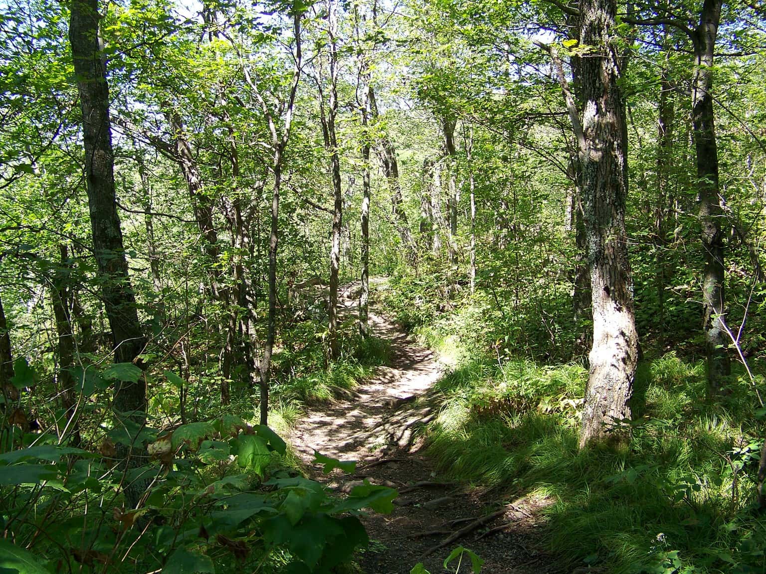 Places That Shouldn’t Exist Facts