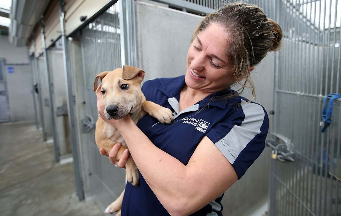 Leap Of Faith Paid Off facts 