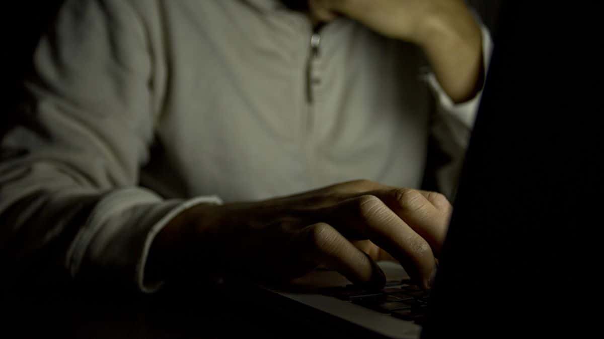 Catfish Stories facts 