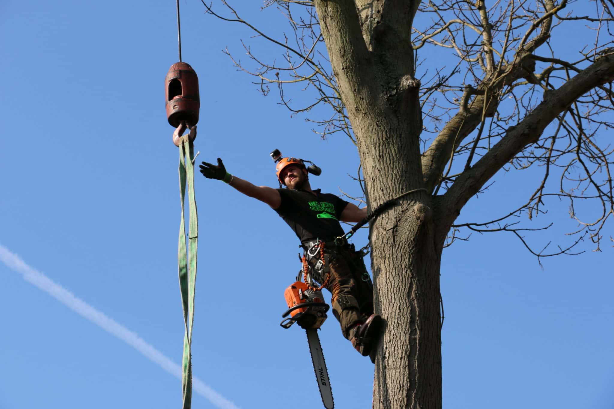 Leap Of Faith Paid Off facts 