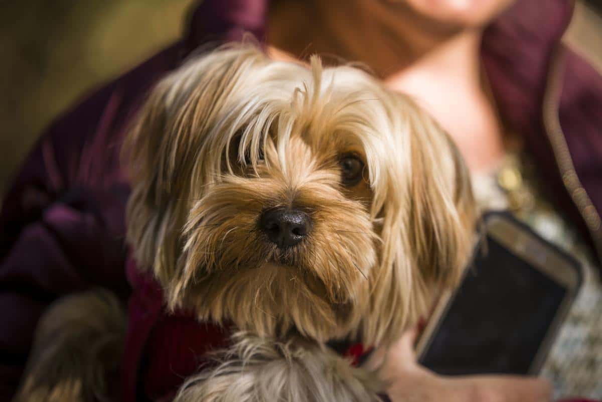 Trashiest Things Parents Do facts