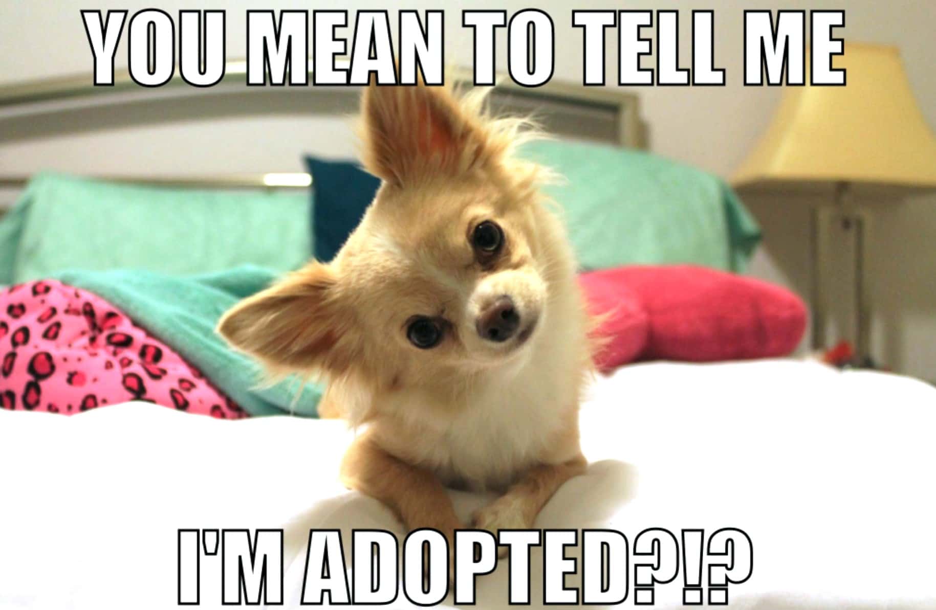 Marcus Aurelius facts