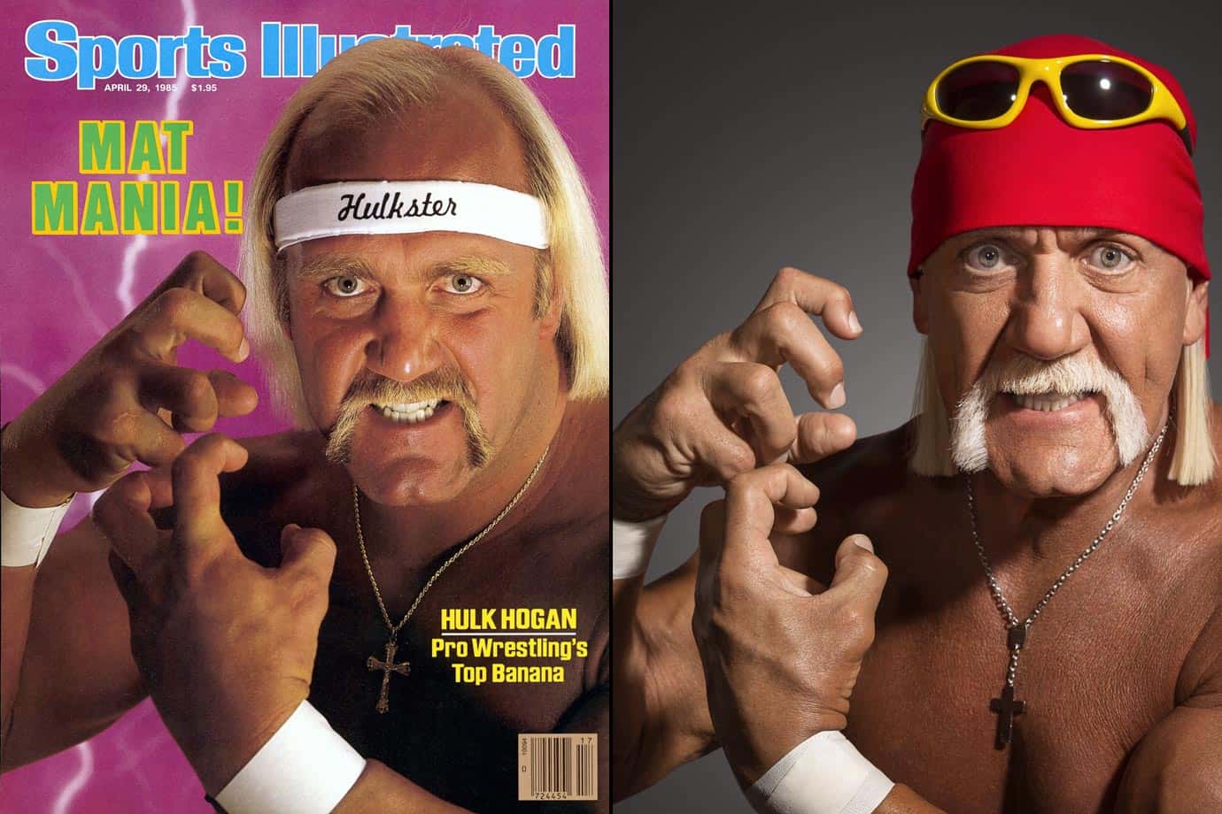 Hulk Hogan Facts