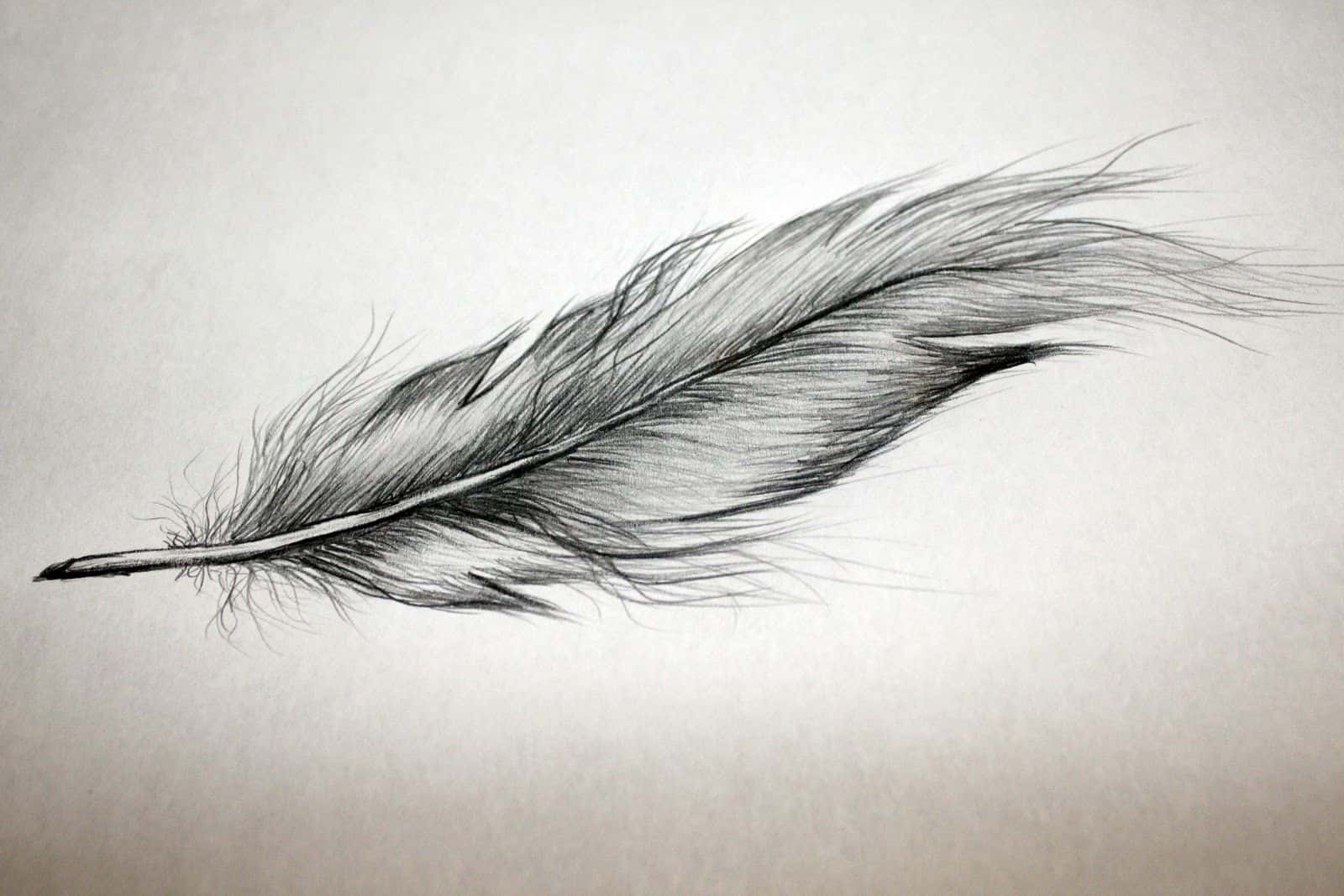 Learn About The Opposite Sex facts