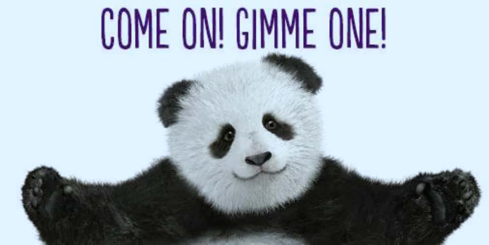 Awkward Thing at a High School Reunion Facts