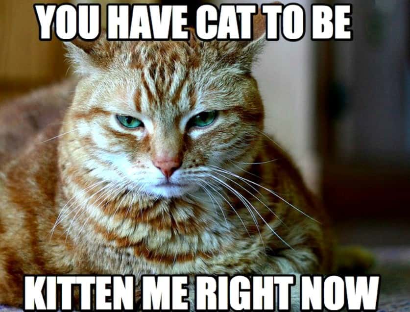 Nightmarish First Dates facts