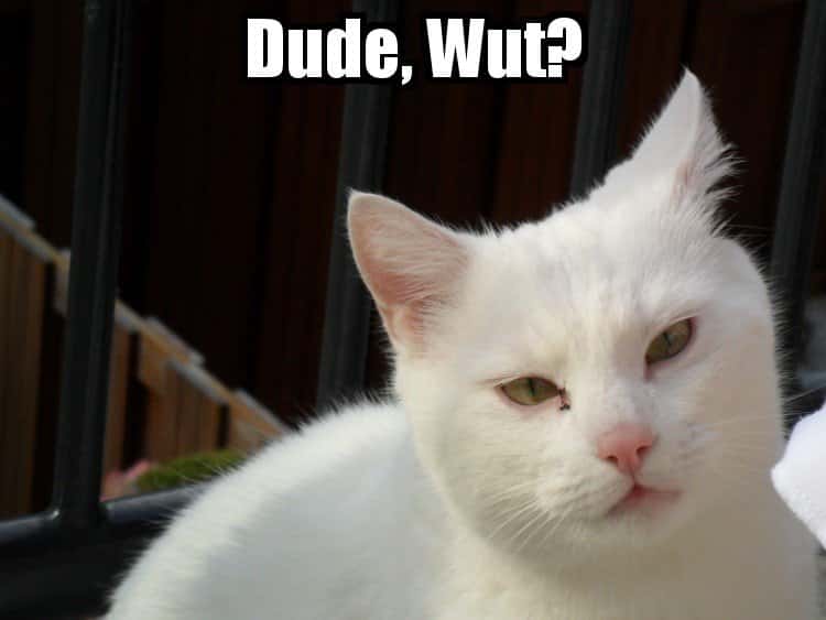 Prom Horror Stories facts