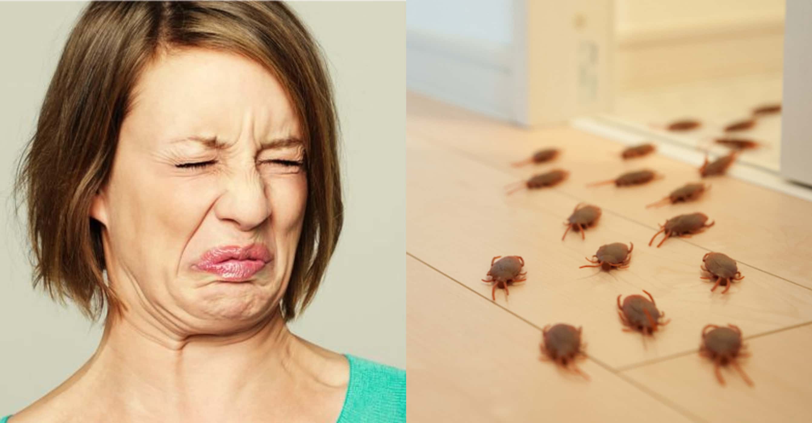 Worst Experiences When Staying in Hotels Facts