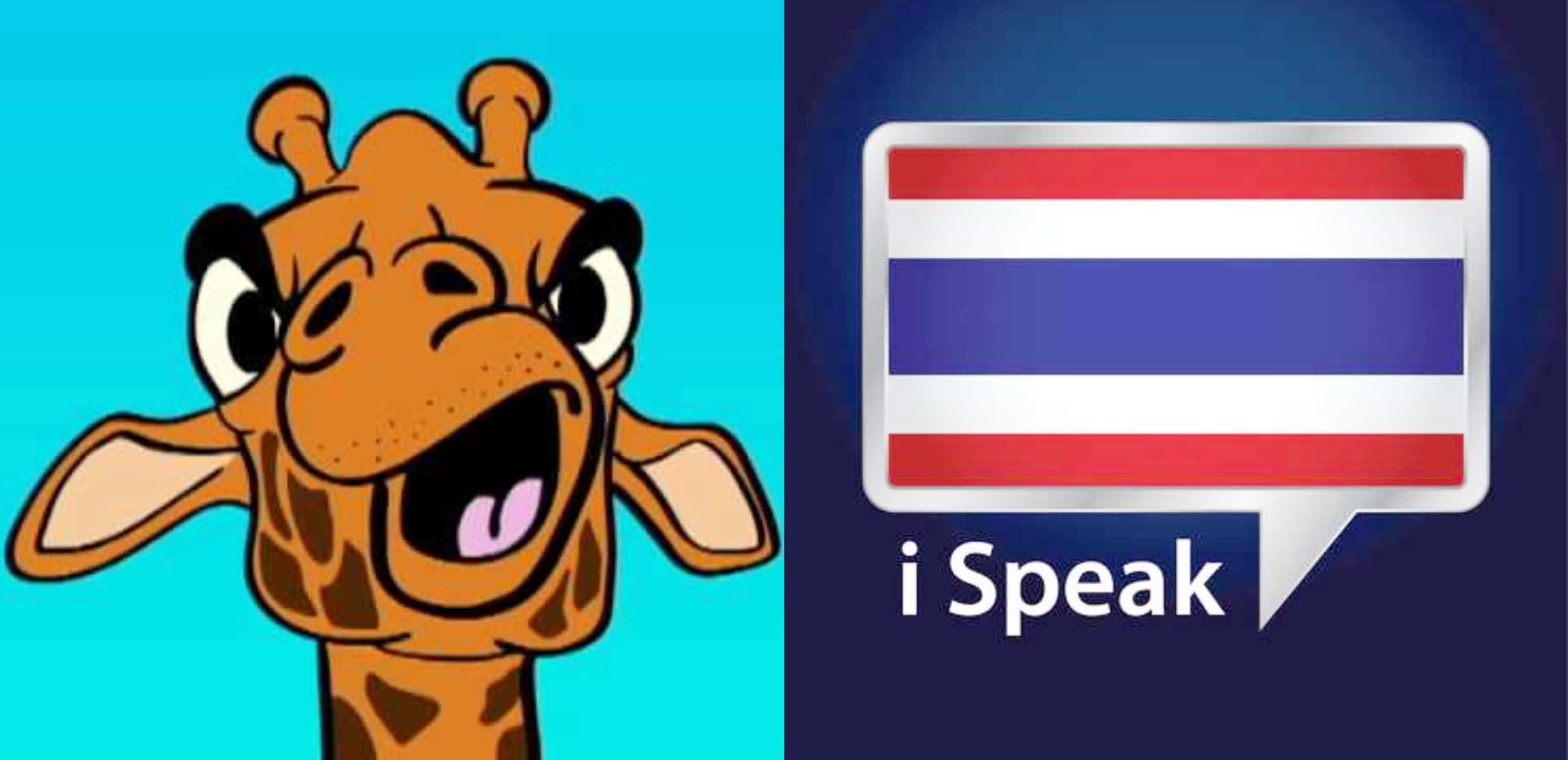 Bilingual Trash Talk Facts