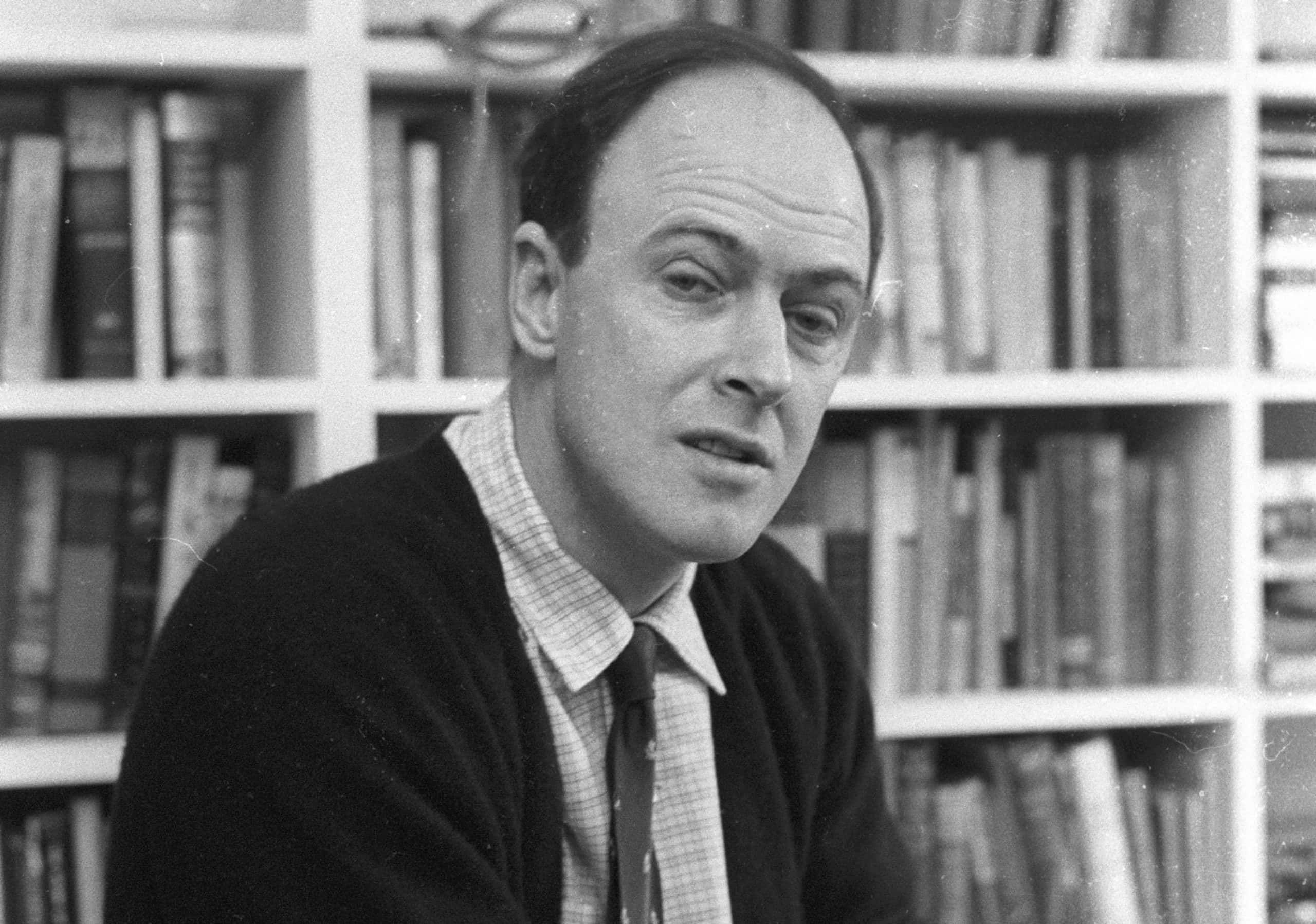 Roald Dahl in library