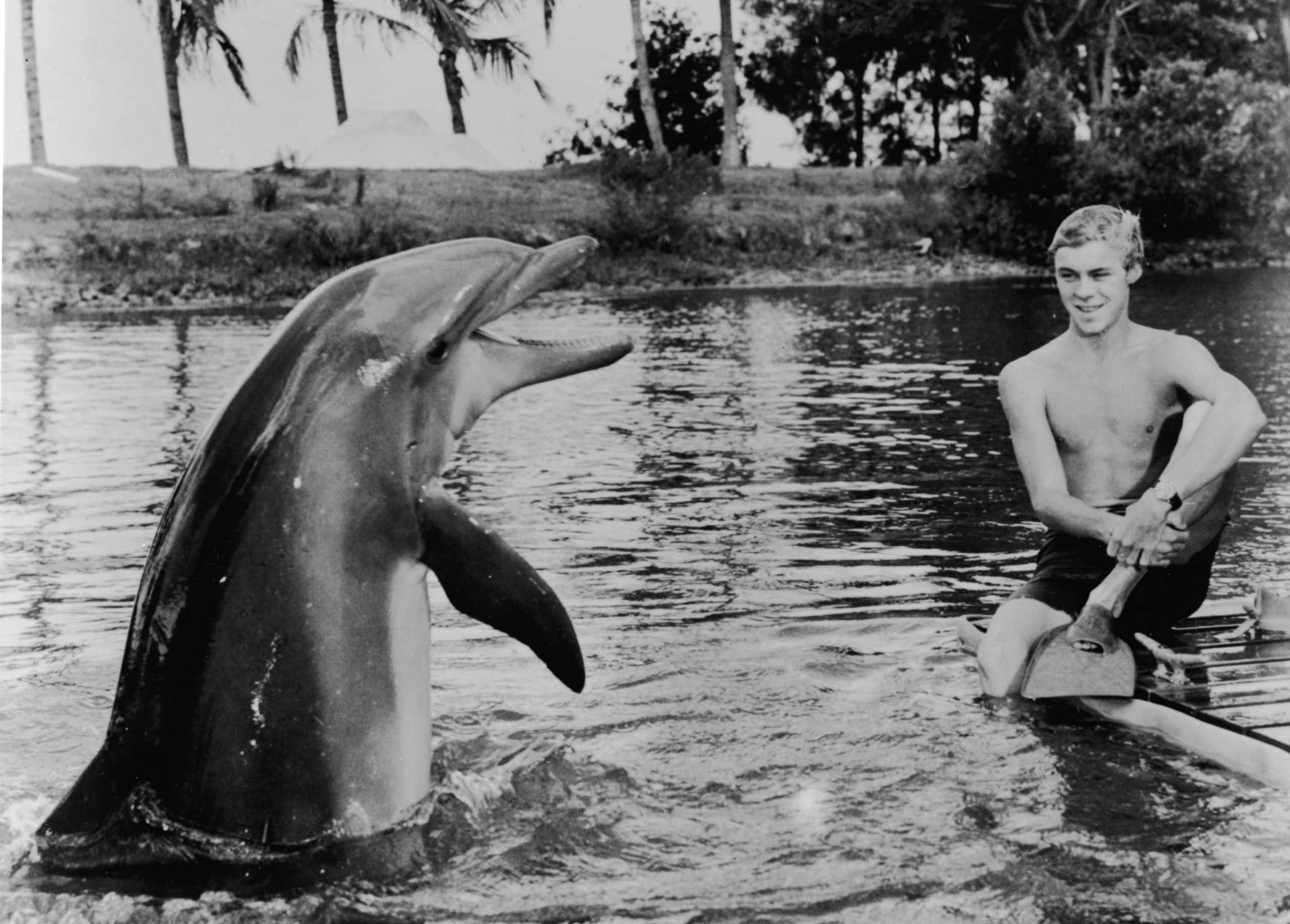 Ruining Childhood Facts