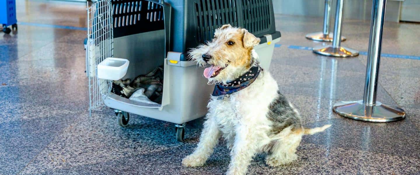 Saddest Airport Goodbyes facts