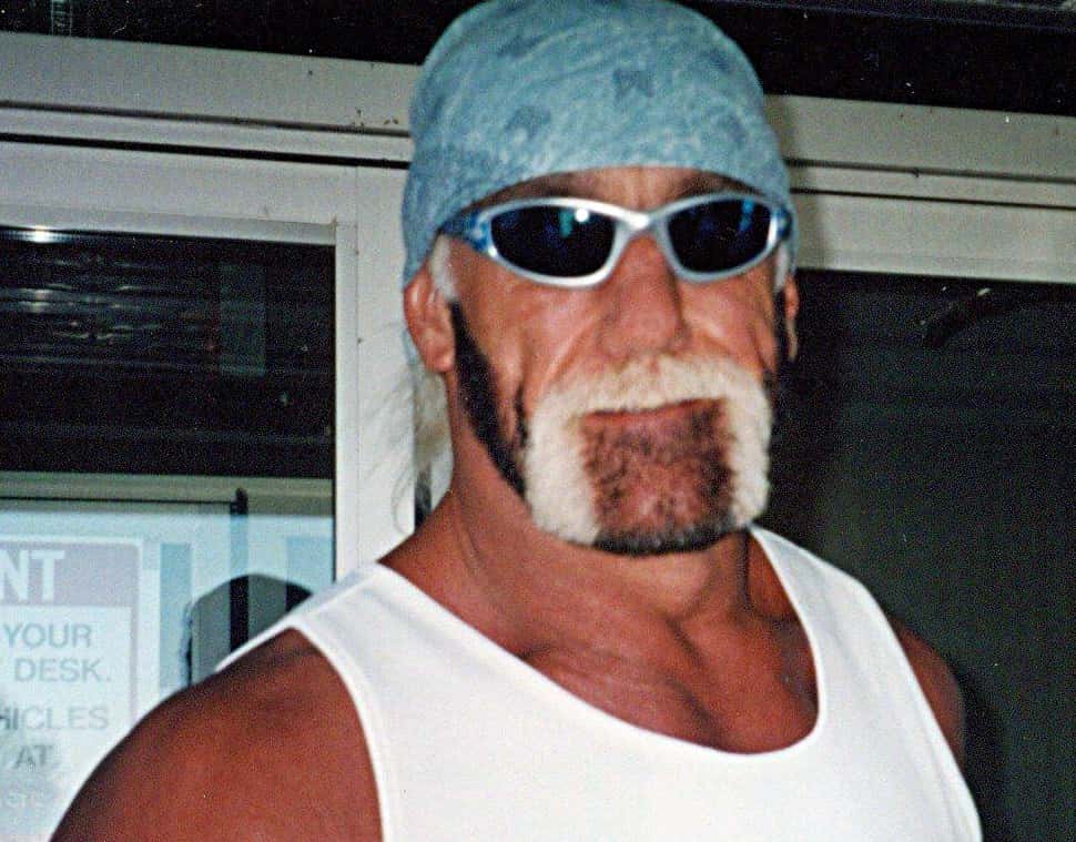 Hulk Hogan facts