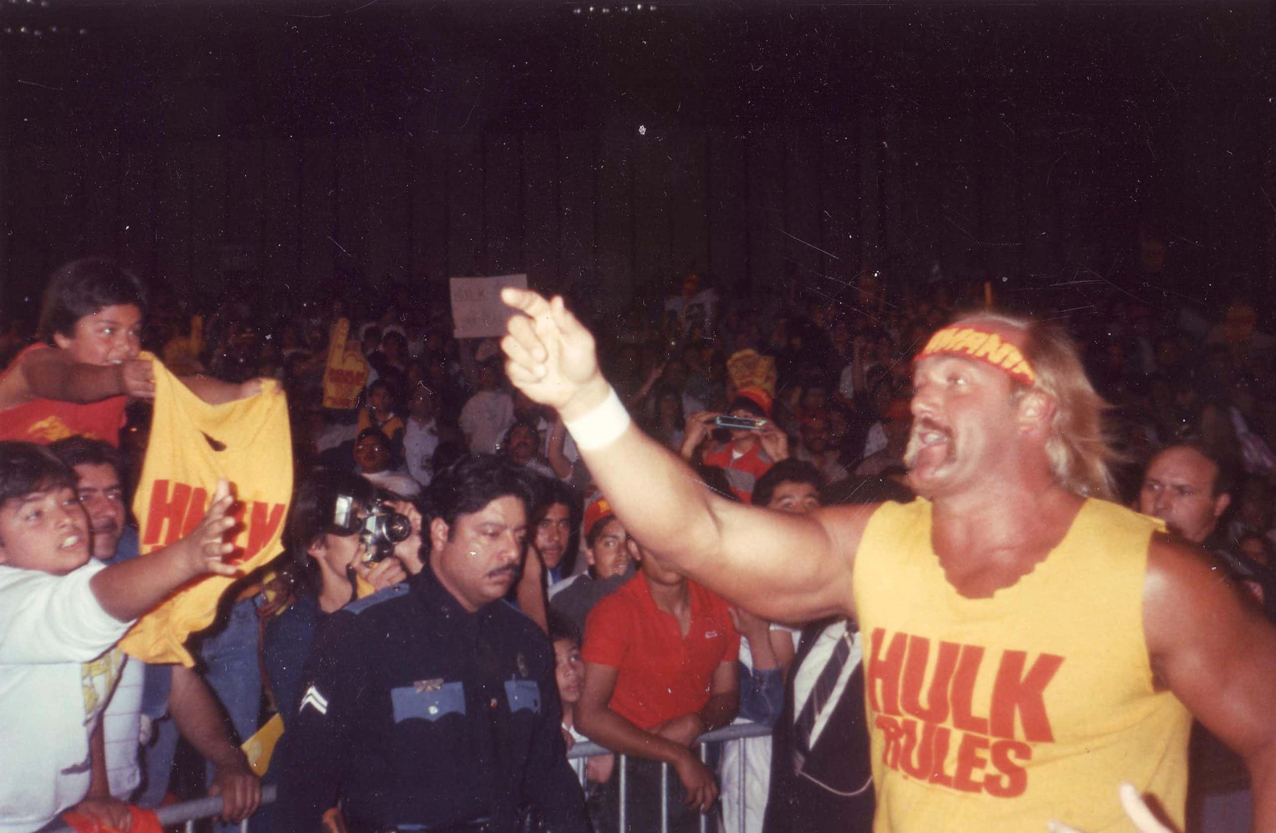 Hulk Hogan facts