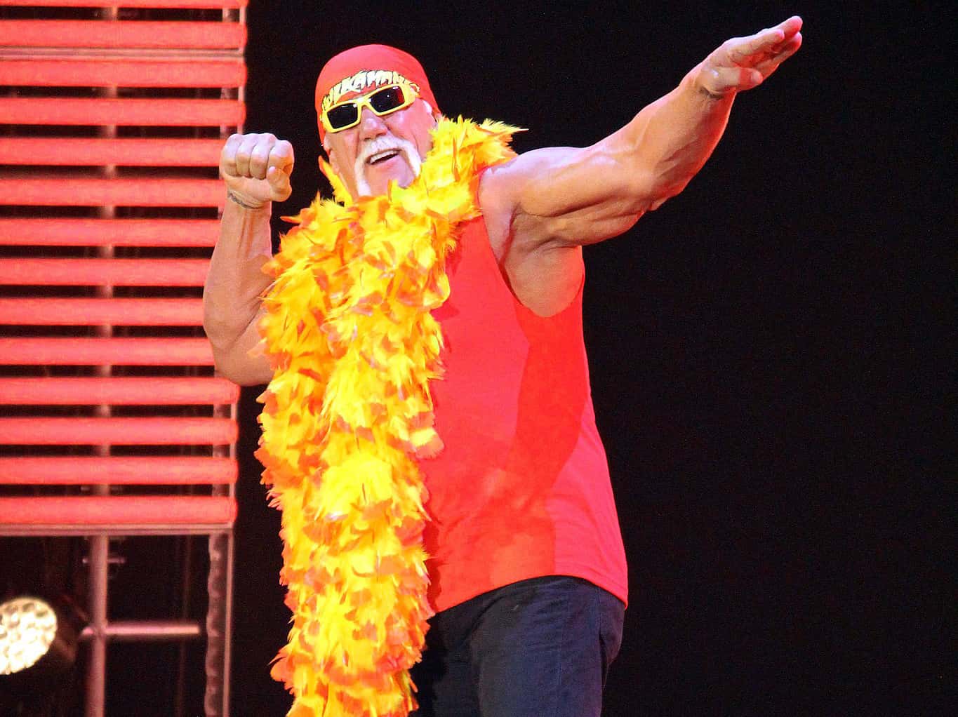 Hulk Hogan facts