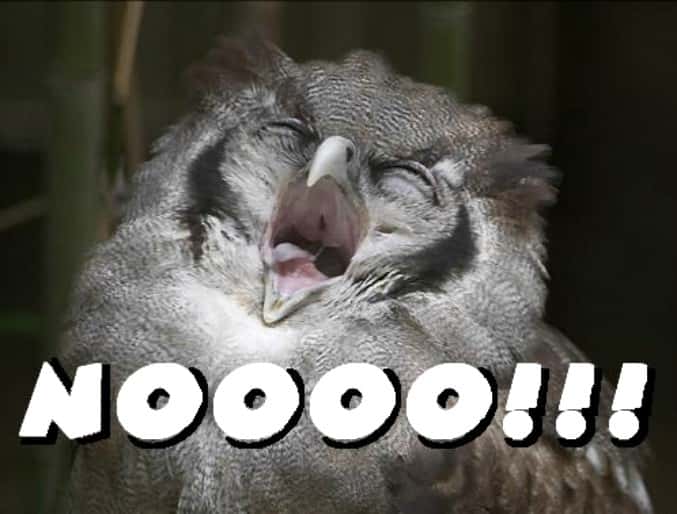 Prom Horror Stories facts