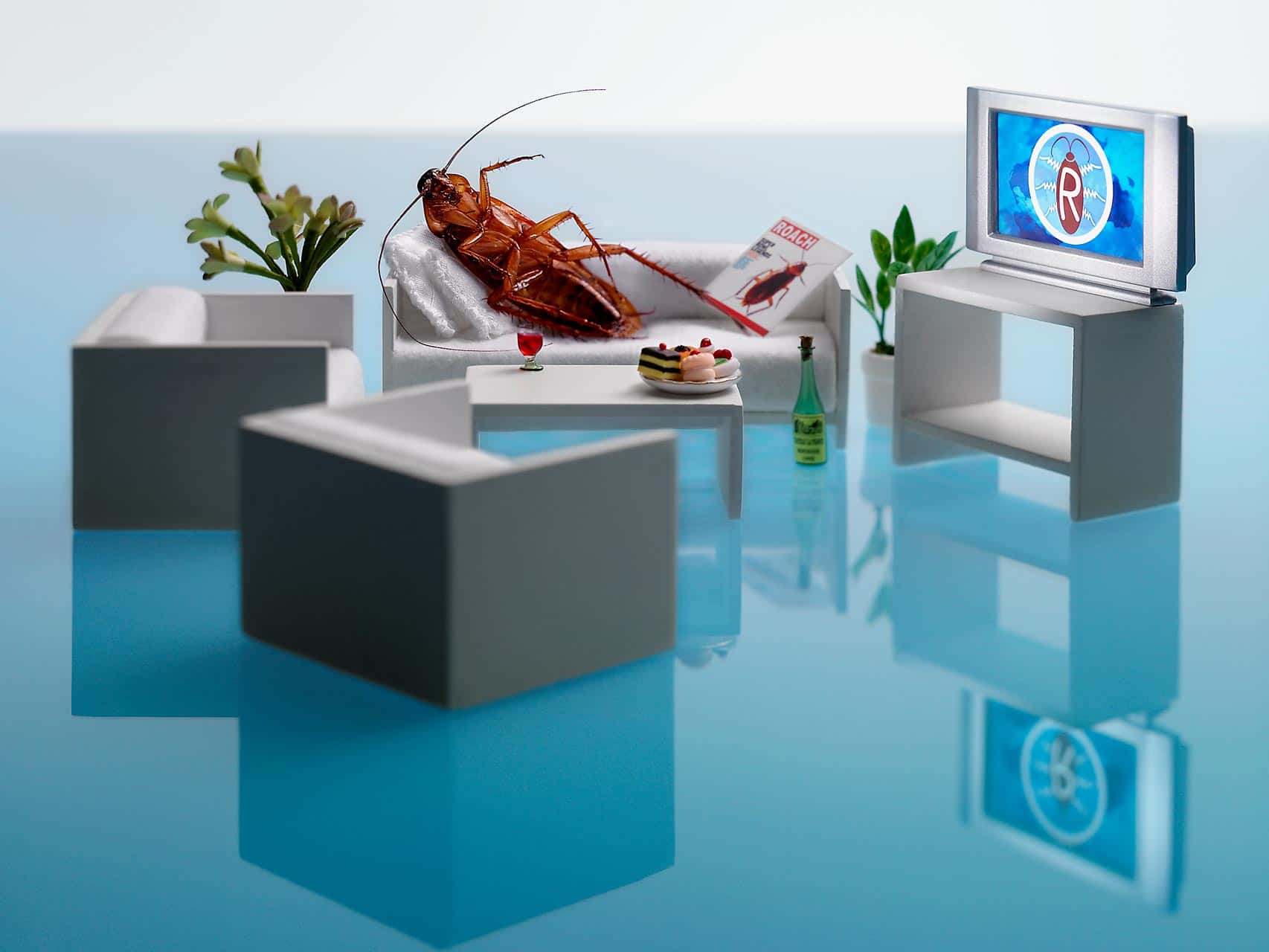 Craigslist Horror Stories facts 