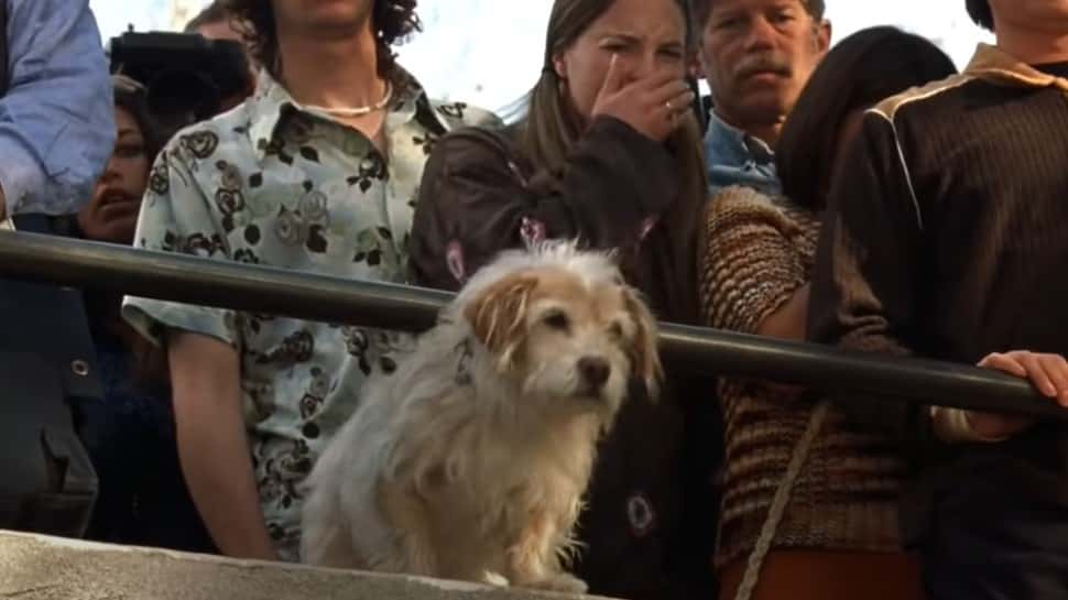 Anchorman: The Legend of Ron Burgundy facts