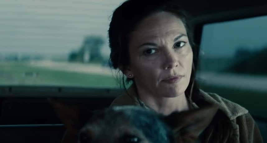 Friends Of Superheroes facts