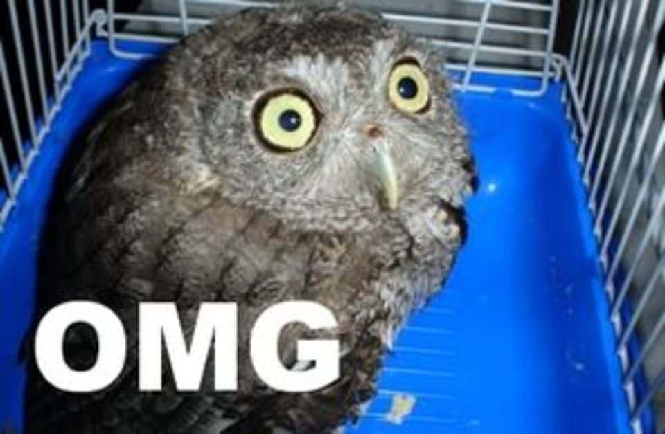 Incidents That They Only Understood As Adults facts