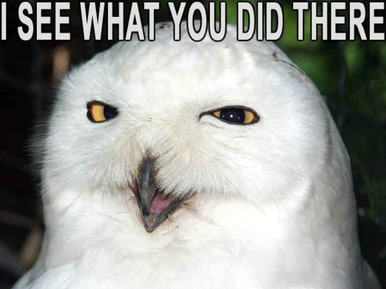 The Amityville Horror facts 